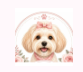Houma Dog Grooming logo